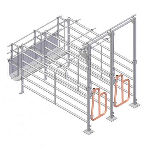 Gestation stall 066 Swing-3