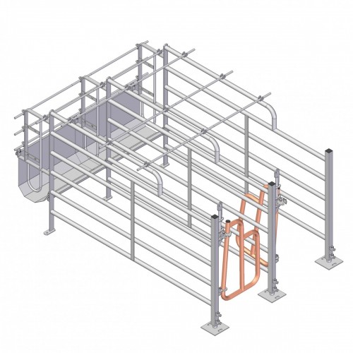 Gestation stall 066 Swing-2